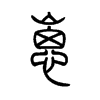 ̵С׭
