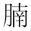 腩的韓國(guó)明朝體